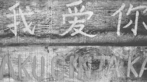 cambiar idioma revit