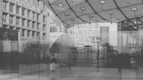 gestion de proyectos