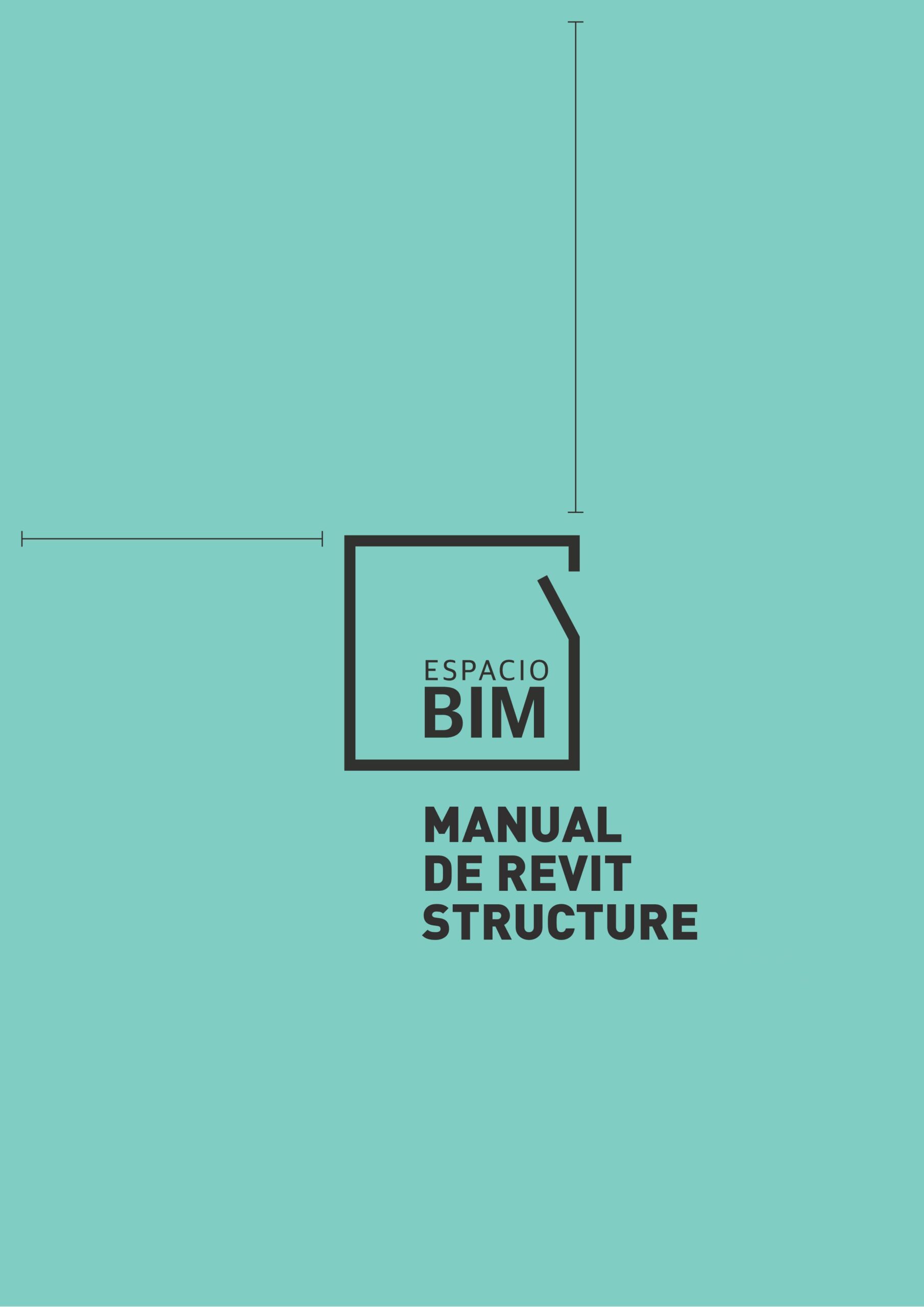 manual revit structure
