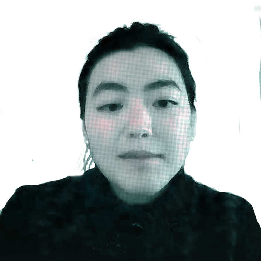 master bim pingping shan