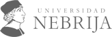 partner nebrija master bim
