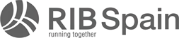 partner rib spain master bim