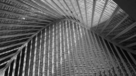 dimensiones bim